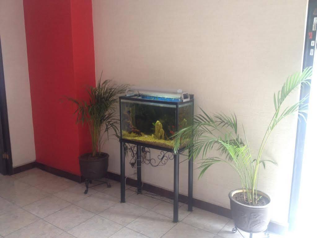 Hotel La Paz Guadalajara Bagian luar foto